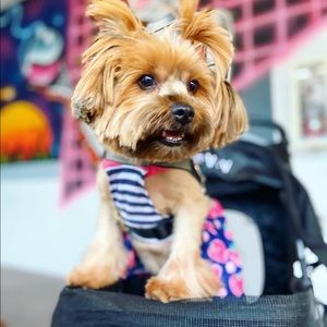 Meet your Posher, Denise